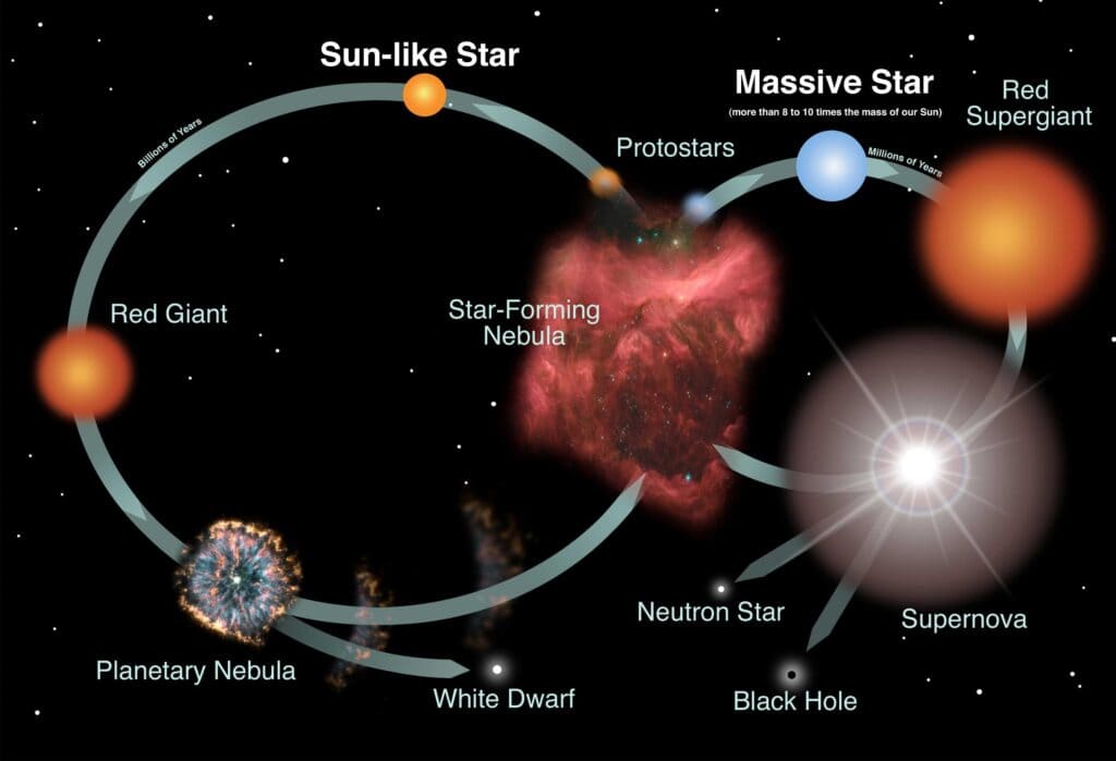 The Lifecycle of a Star